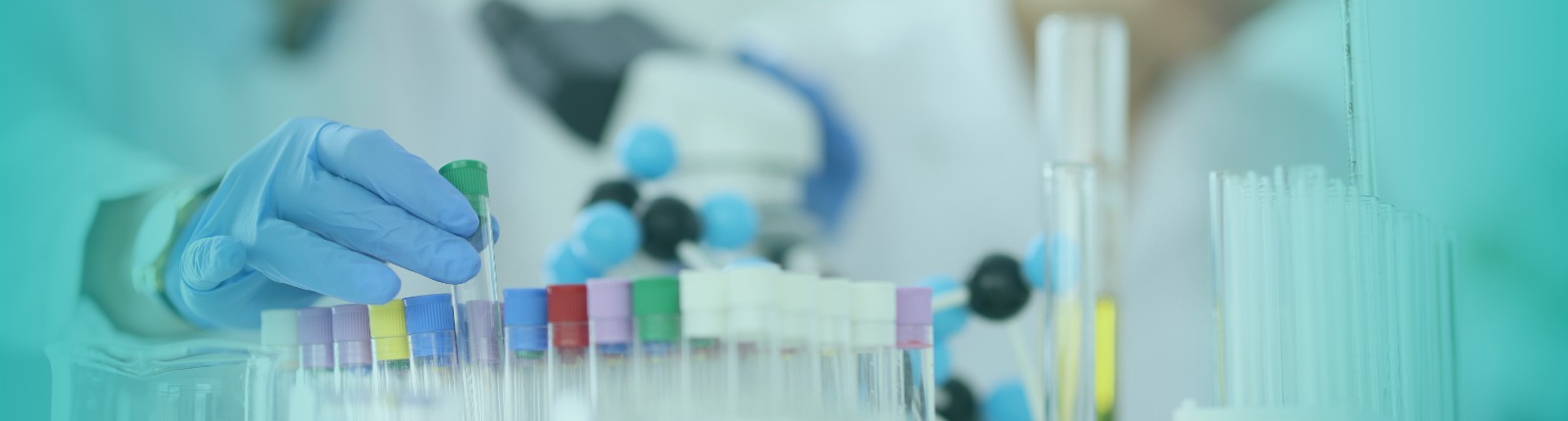 قسم المختبر